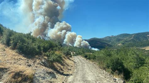 Antalya ve Manisa’da orman yangını: Yangınlar rüzgarın etkisiyle büyüdü!